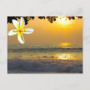Suche nach surfer foto postkarten Strand