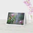 Suche nach oleander karten Natur