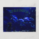 Suche nach exotische fische postkarten Unterwasser