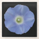 Suche nach weinreben untersetzer Blume