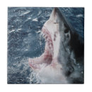 Suche nach amos fliesen Tier