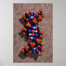 Suche nach biologie poster Genetik