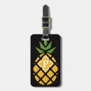 Suche nach ananas gepäckanhänger Insel