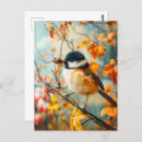 Suche nach filz postkarten Für sie