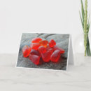 Suche nach rotes meer karten Für alle