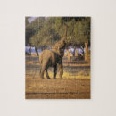 Suche nach kenia puzzle Afrika