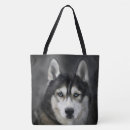 Suche nach husky taschen Haustier