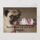 Suche nach dumm postkarten Mops
