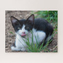 Suche nach pelz puzzle Jede person