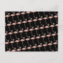 Suche nach rosa flamingos postkarten Florida