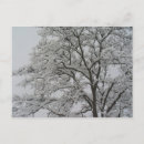 Suche nach eichenbaum postkarten Fotografie