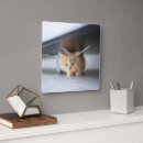 Suche nach fluffy wanduhren Haustier