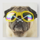 Suche nach pug wanduhren Dog