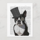 Suche nach boston terrier postkarten Fantastisch