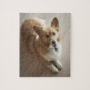 Suche nach zusammengehörigkeit puzzle Kamera betrachten