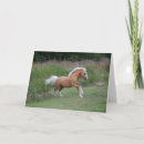 Suche nach stallion karten Laufen