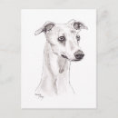 Suche nach whippets postkarten Sehenswürdigkeit