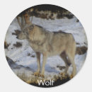 Suche nach wilde wölfe aufkleber Grauwölfe