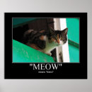 Suche nach meow poster Katzen