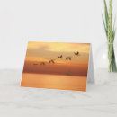 Suche nach mexiko strand karten Sonnenuntergang