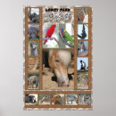 Suche nach zoo poster Park