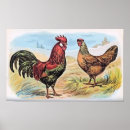 Suche nach hahn huhn huhn henne poster Tiere