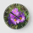Suche nach aster wanduhren Blume