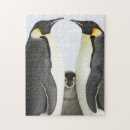 Suche nach kaiser pinguin puzzle Vögel