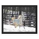 Suche nach galoppieren poster Schnee
