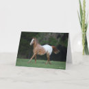 Suche nach appaloosa karten Laufen