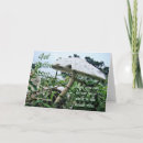 Suche nach toadstool karten Natur