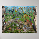 Suche nach gartenvögel poster Für alle