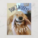 Suche nach lächelnde hunde postkarten Foto