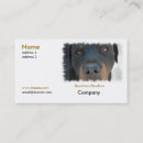 Suche nach rottweiler hund visitenkarten Hunde