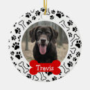 Suche nach hundeknochen ornamente Niedlich