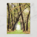 Suche nach portal postkarten Wald