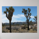 Suche nach joshua baum poster California