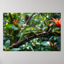 Suche nach chameleon poster Natur