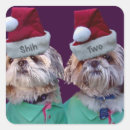 Suche nach shih tzu hund aufkleber Bezaubernd