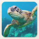 Suche nach maui untersetzer Nautisch