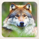 Suche nach niedlicher wolf untersetzer Tierwelt
