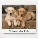 Suche nach labrador welpen mousepads Hunde