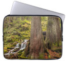 Suche nach wasserfall laptop schutzhüllen Moos