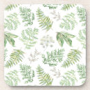 Suche nach farn untersetzer Pflanze