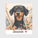 Suche nach niedliche dackel aufkleber Jede person