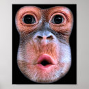 Suche nach lustiges gesicht poster Fotografie