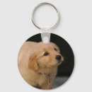 Suche nach golden retriever schlüsselanhänger Foto