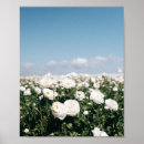 Suche nach blumenfelder poster Frühling