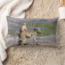 Suche nach niedlicher affe kissen Natur