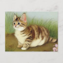 Suche nach viktorianische illustration postkarten Katze